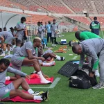 Eric Chelle to direct Nigeria training amid absences